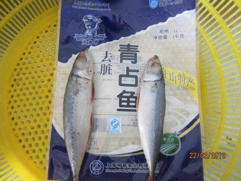 去髒青占魚