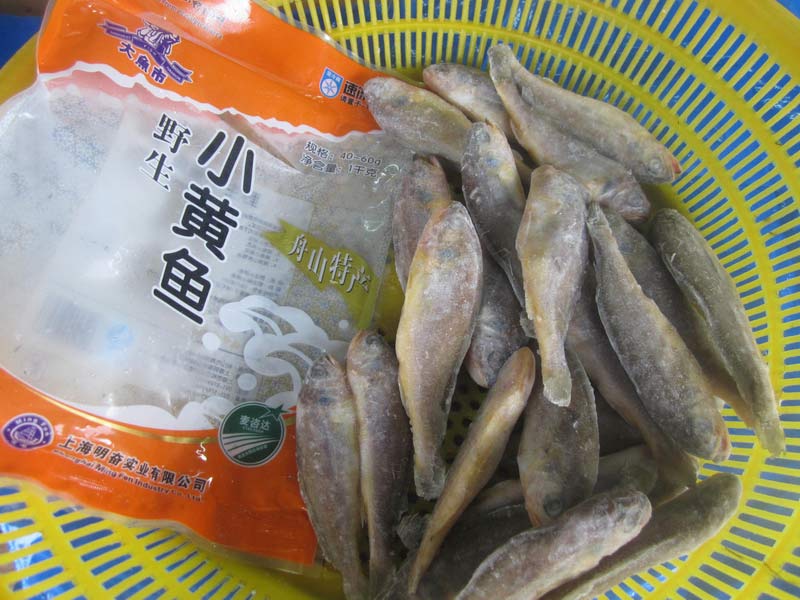 野生(shēng)小(xiǎo)黃魚