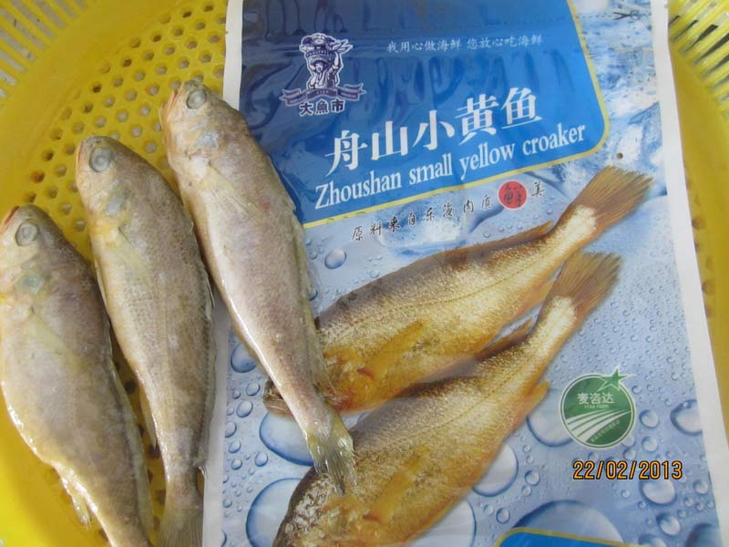 舟山(shān)小(xiǎo)黃魚