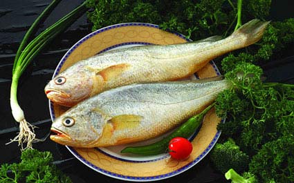 凍小(xiǎo)黃魚