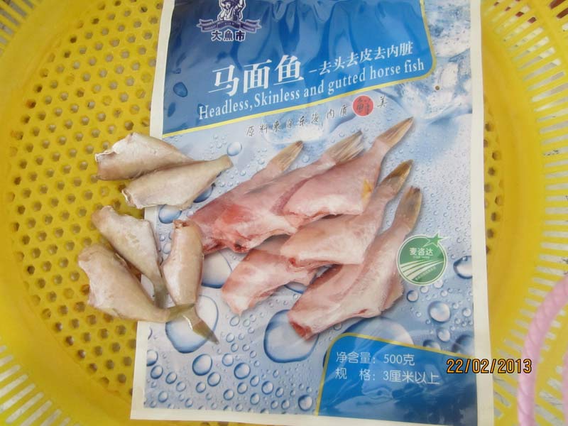 馬面魚