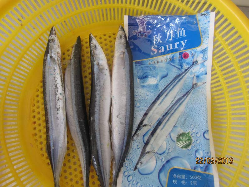 秋刀魚